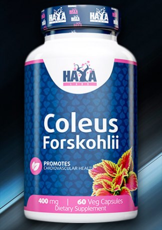 haya-coleus-forskohlii