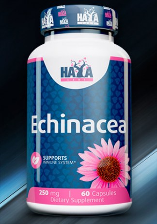 haya-echinacea