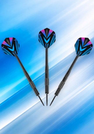 Дротики для дартса с латунным баррелем и жёстким футляром NILS FUN TDR02 || Săgeți pentru darts cu corp din alamă și etui rigid NILS FUN TDR02