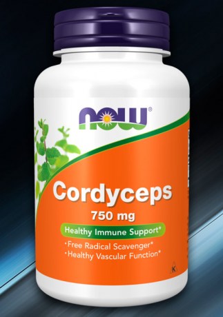 now-cordyceps